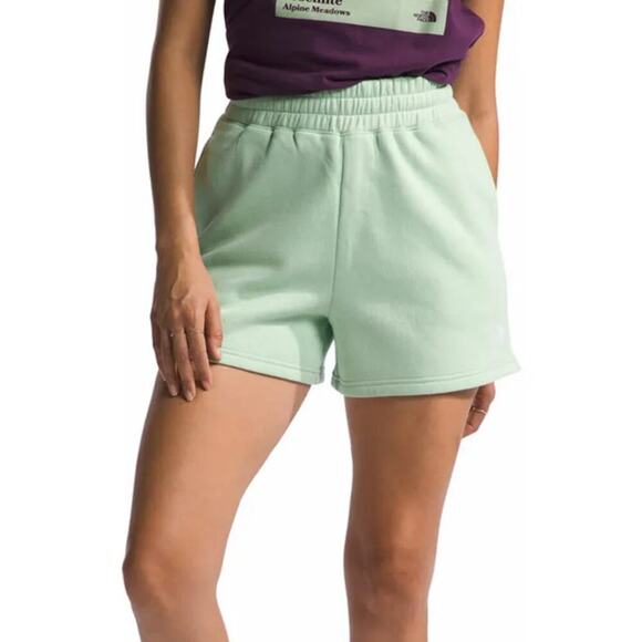 The North Face Women's Misty Sage Evolution Fleece Shorts Size S - Picture 1 of 5